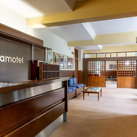 Dynamotel 3*